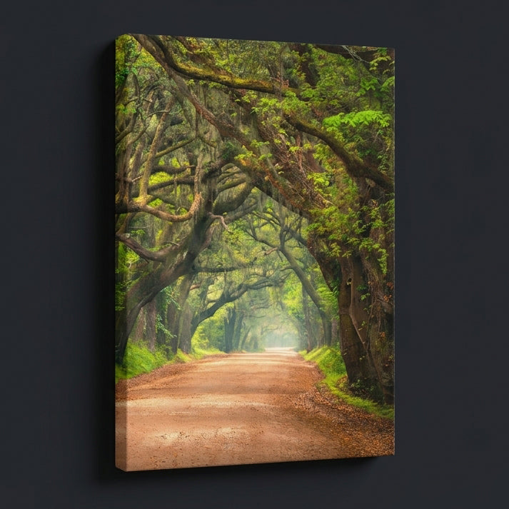 Landscapes & Nature