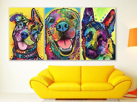 WS243 - Wall Studio